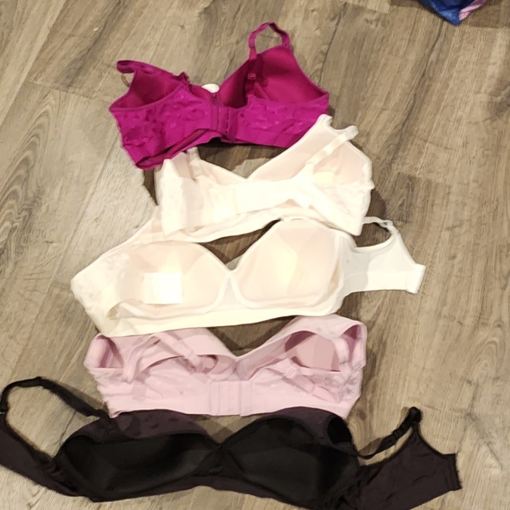 Hanes bras